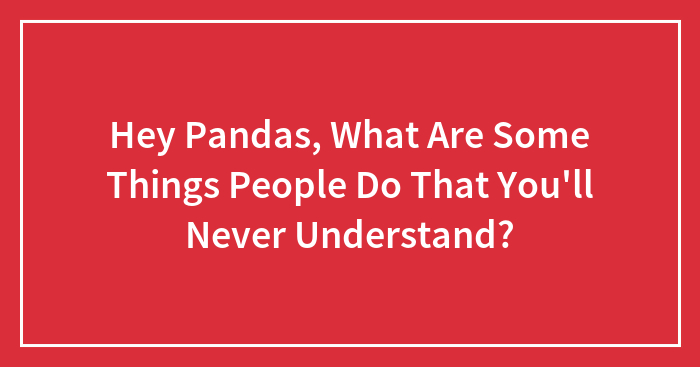 Hey Pandas, What Are Some Things People Do That You’ll Never Understand?