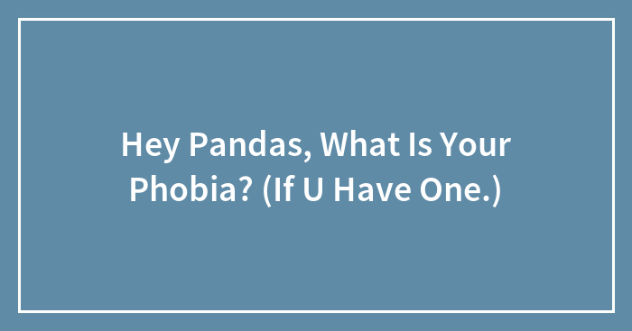 Hey Pandas, What Is Your Phobia? (If U Have One.)