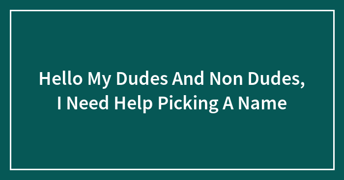 Hello My Dudes And Non Dudes, I Need Help Picking A Name