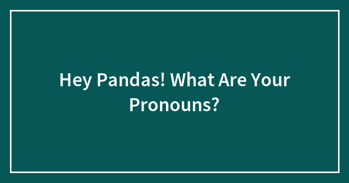 Hey Pandas! What Are Your Pronouns?
