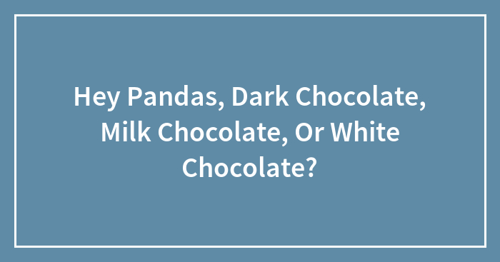 Hey Pandas, Dark Chocolate, Milk Chocolate, Or White Chocolate?