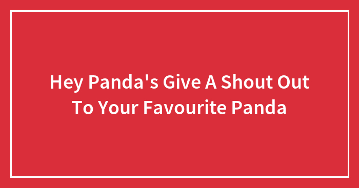 Hey Panda’s Give A Shout Out To Your Favourite Panda