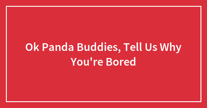 Ok Panda Buddies, Tell Us Why You’re Bored