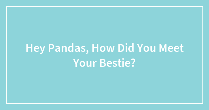 Hey Pandas, How Did You Meet Your Bestie?