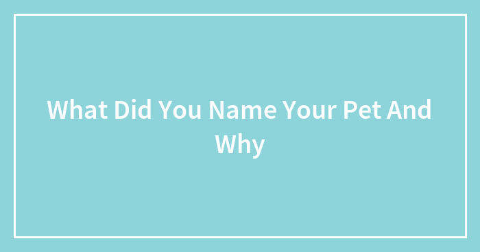 What Did You Name Your Pet And Why