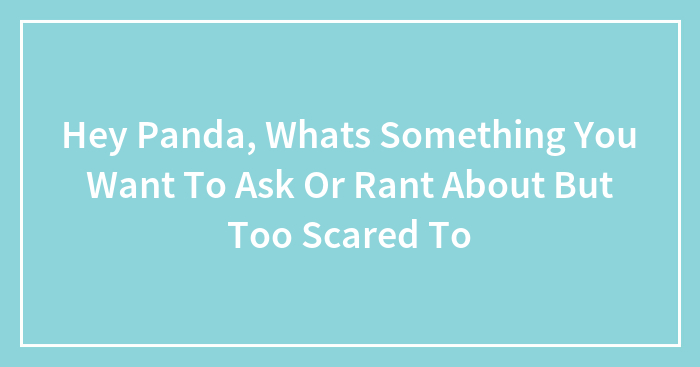 Hey Panda, Whats Something You Want To Ask Or Rant About But Too Scared To
