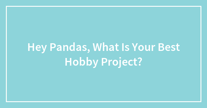 Hey Pandas, What Is Your Best Hobby Project?