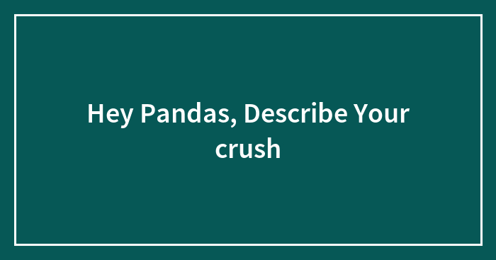 Hey Pandas, Describe Your ✨crush✨