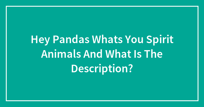 Hey Pandas Whats You Spirit Animals And What Is The Description?