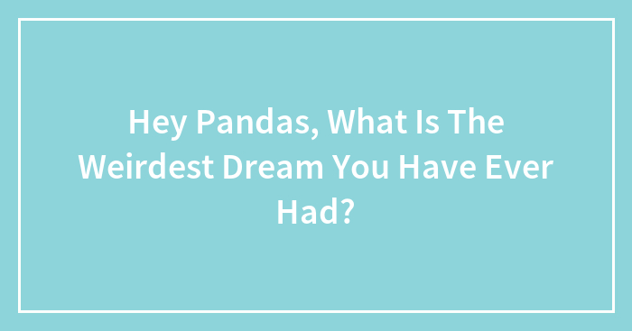 Hey Pandas, What Is The Weirdest Dream You Have Ever Had?