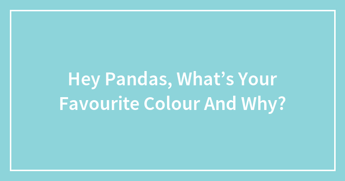 Hey Pandas, What’s Your Favourite Colour And Why?