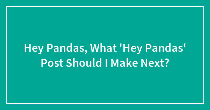 Hey Pandas, What ‘Hey Pandas’ Post Should I Make Next?