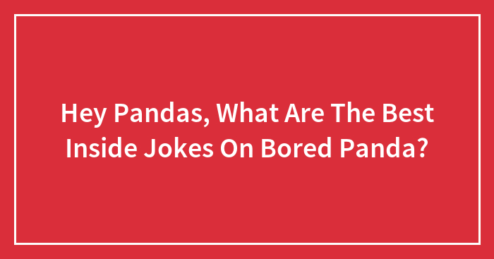 Hey Pandas, What Are The Best Inside Jokes On Bored Panda?
