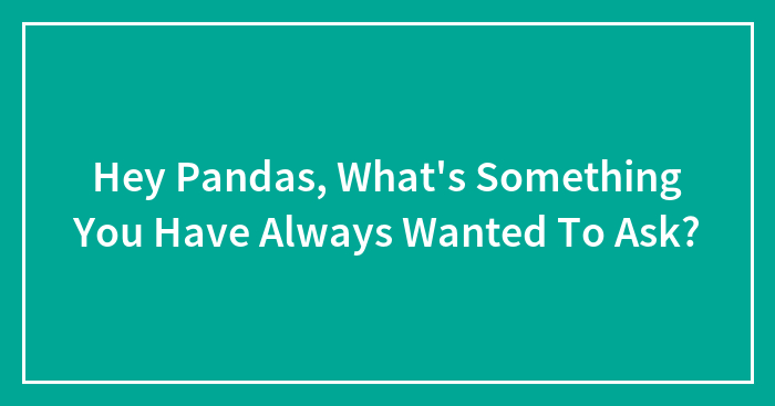Hey Pandas, What’s Something You Have Always Wanted To Ask?