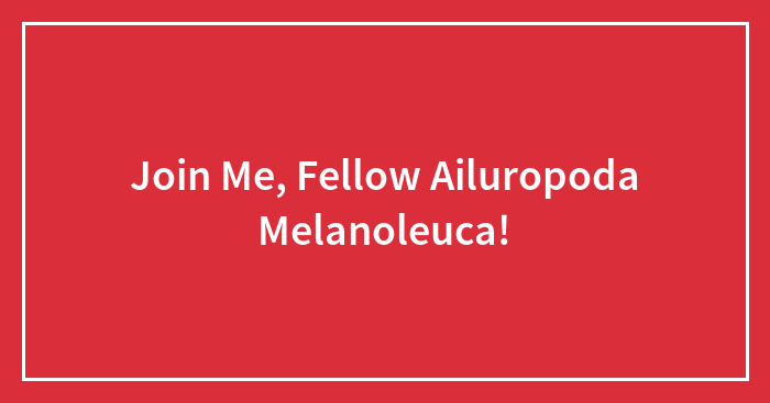Join Me, Fellow Ailuropoda Melanoleuca!