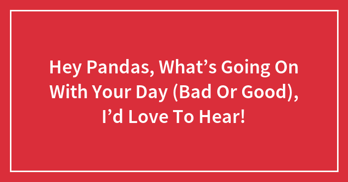 Hey Pandas, What’s Going On With Your Day (Bad Or Good), I’d Love To Hear!