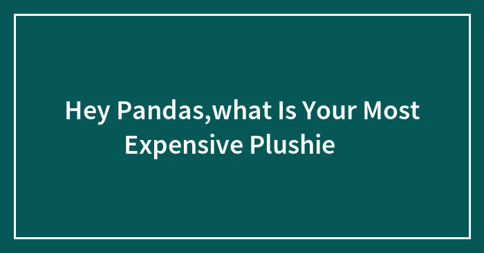 Hey Pandas,what Is Your Most Expensive Plushie 🧸