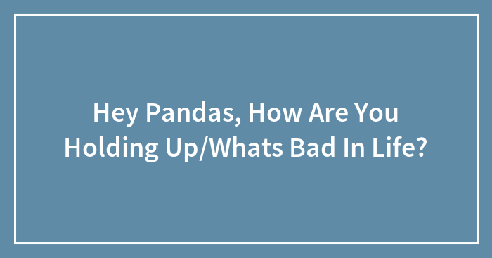 Hey Pandas, How Are You Holding Up/Whats Bad In Life?