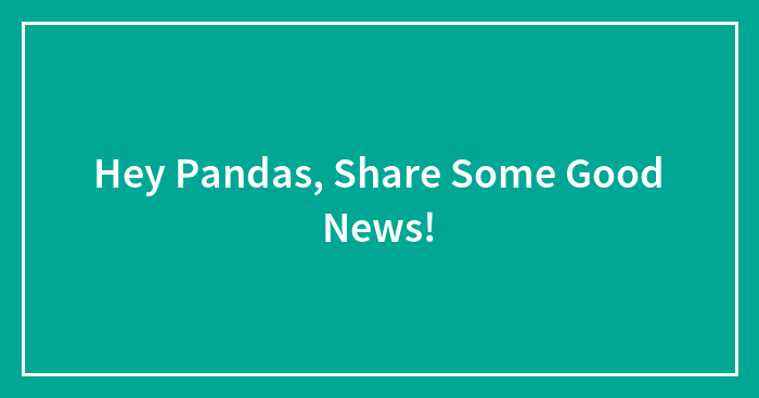 Hey Pandas, Share Some Good News!