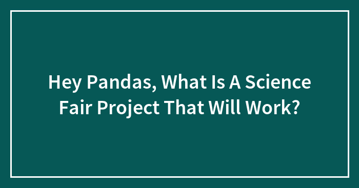 Hey Pandas, What Is A Science Fair Project That Will Work?