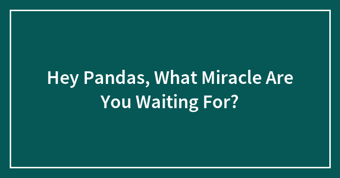 Hey Pandas, What Miracle Are You Waiting For?