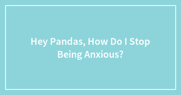 Hey Pandas, How Do I Stop Being Anxious?