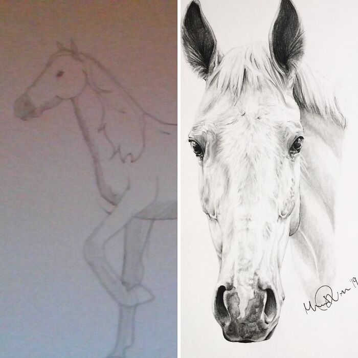 Hey Pandas, Draw A Horse And Post The Result (Closed)