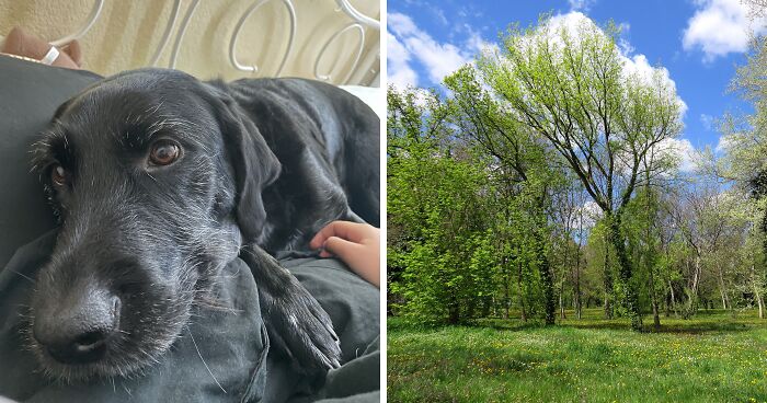 Hey Pandas, What Is Your Happy Place? (Closed)