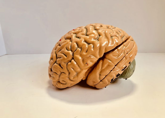 A Netizen Wanted To Hear Some Creepy Facts About Human Nature, The Internet Provided 40 Chilling Answers