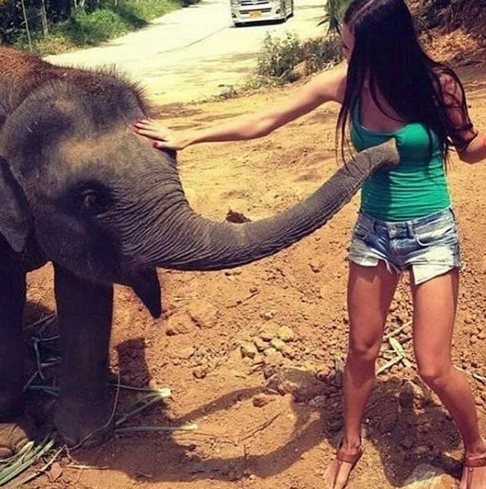 Cursed meme featuring an elephant playfully interacting with a woman on a dirt path.