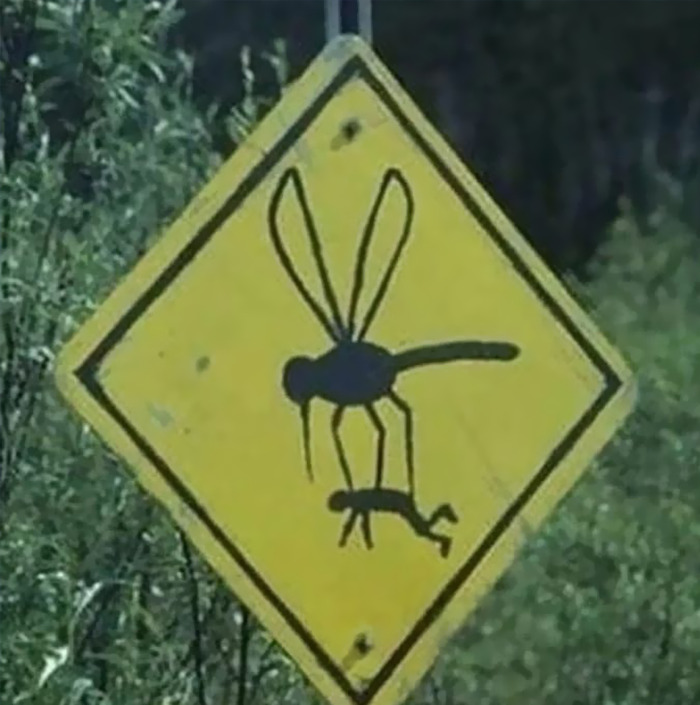 Cursed meme of a sign with a giant mosquito carrying a human figure.