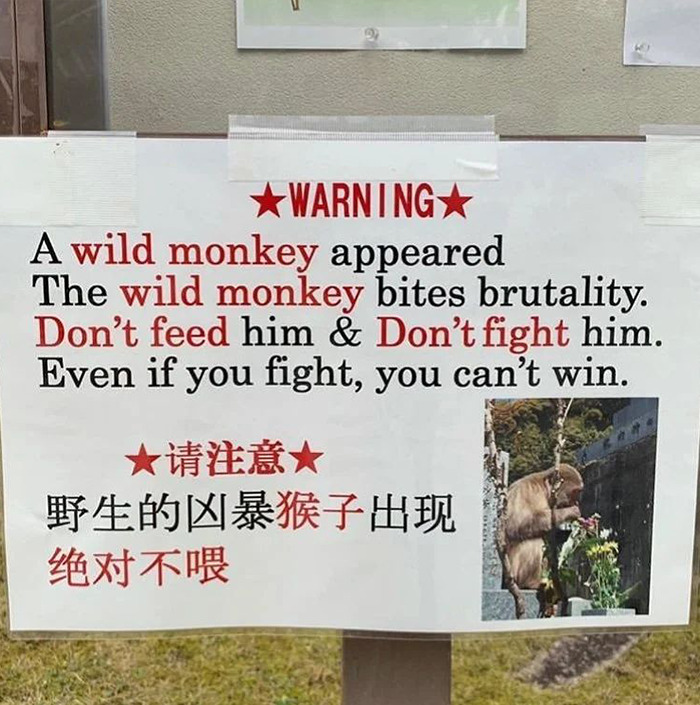 Cursed meme with a humorous warning sign about a wild monkey, advising not to feed or fight it.