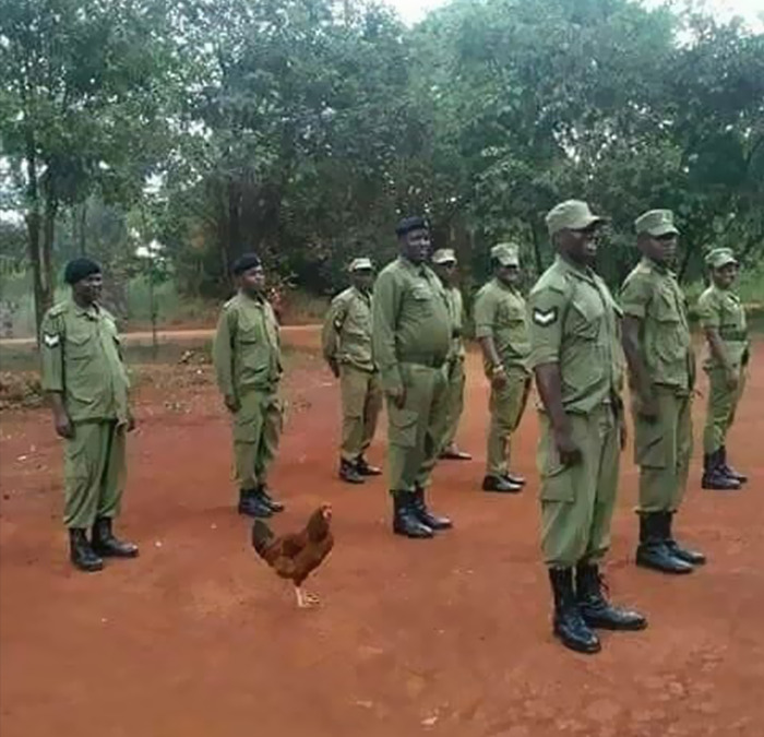 Cursed meme featuring army personnel with a chicken standing in formation.