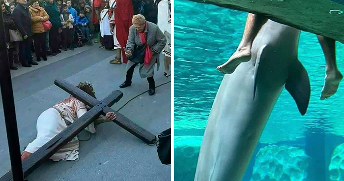 This IG Page Is Sharing Cursed Memes, And Here Are 56 Of The Best