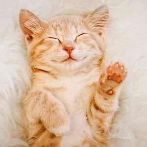 swathikavenkatesan_1 avatar