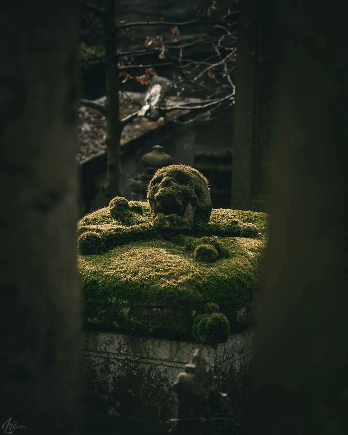 35 Of The Most Interesting Photos Of Abandoned Places, As Shared On The "Deserted Places" Instagram Account