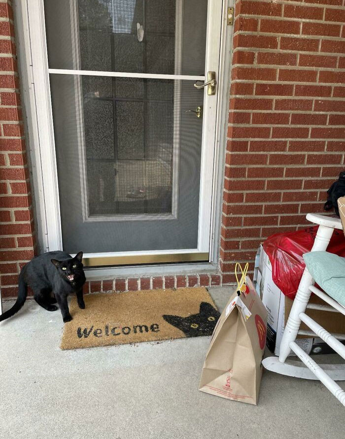 The Most Perfect DD Pic