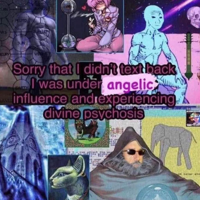 sorry i didn't text meme