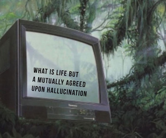 what is life but a mutually agreed upon hallucination meme
