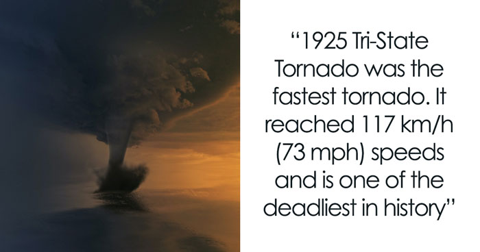 34 Fastest Things In The World That Are Really Quick