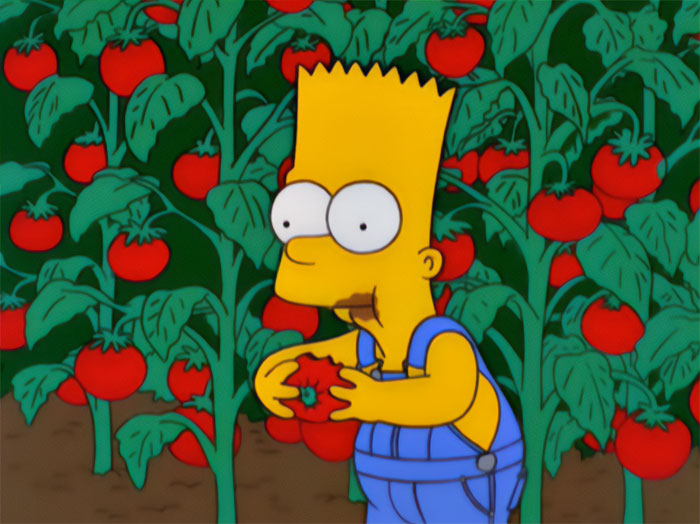 Tomacco (The Simpsons)