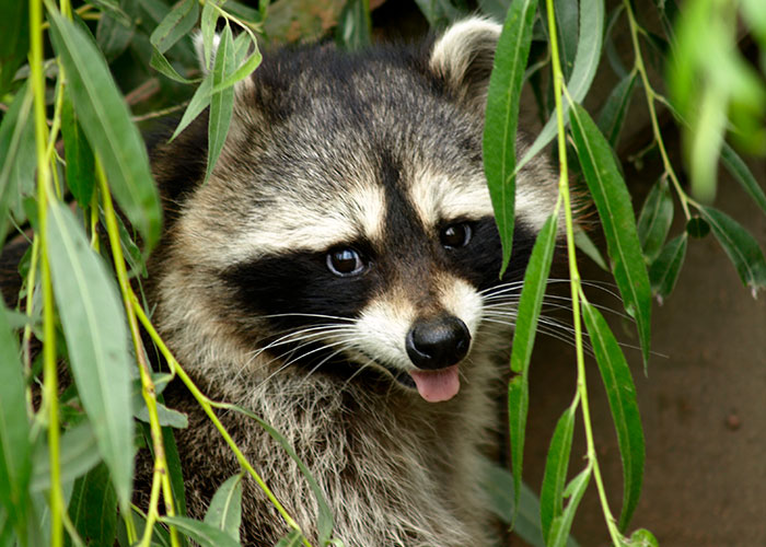 30 Times People Went On First Dates And Noped Right Out Of Seeing That Person Again After These Red Flags Started Flying