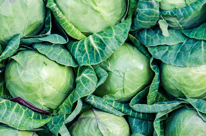 Pile of fresh green cabbages, highlighting interesting food history facts about this vegetable and what we eat.