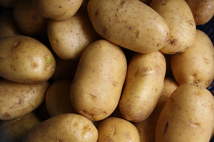 A pile of golden-brown potatoes, emphasizing the humble origins and impact of food history.