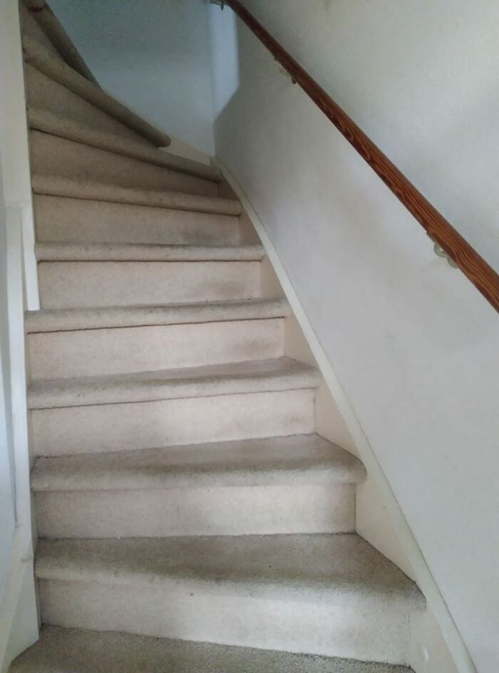 Look At It This Lovely Structure. Maybe A Little Bit Dirty But Hé Looks So Innocent