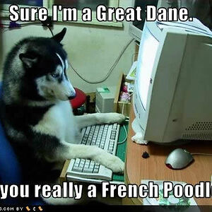 cmdrwhitewolf avatar