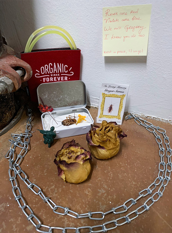 My Wife Found A Deceased Cockroach At Work And Put It In A Coffin. Unknown People Added More To It