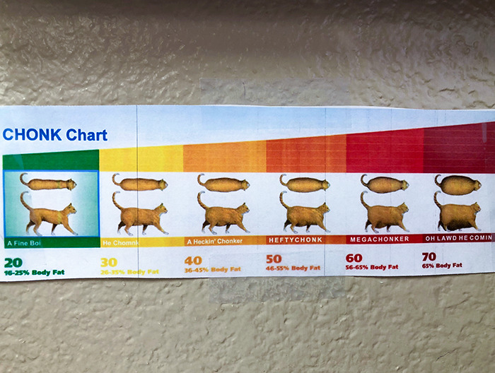 I Work At A Vet Clinic And One Of My Coworkers Put This Up On The Wall