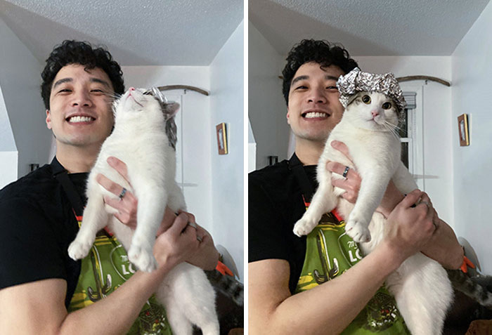 My Boyfriend Made Our Kitty Boy A Little Tin Foil Hat