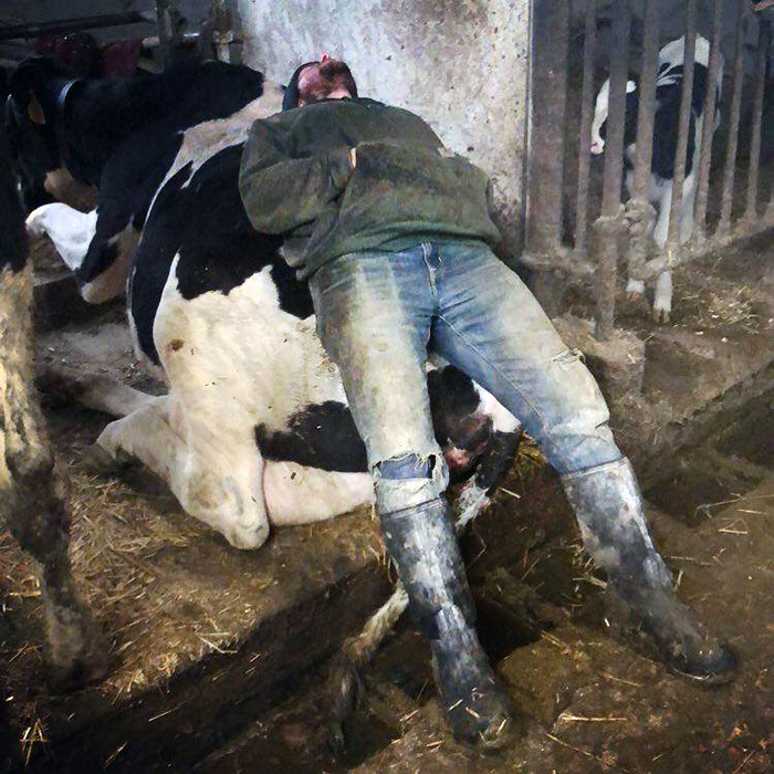 My Sister Caught Her "Very Hard Working" Husband Sleeping On The Job